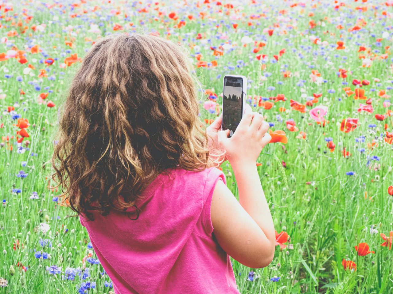 Jeune fille au téléphone dans un champ