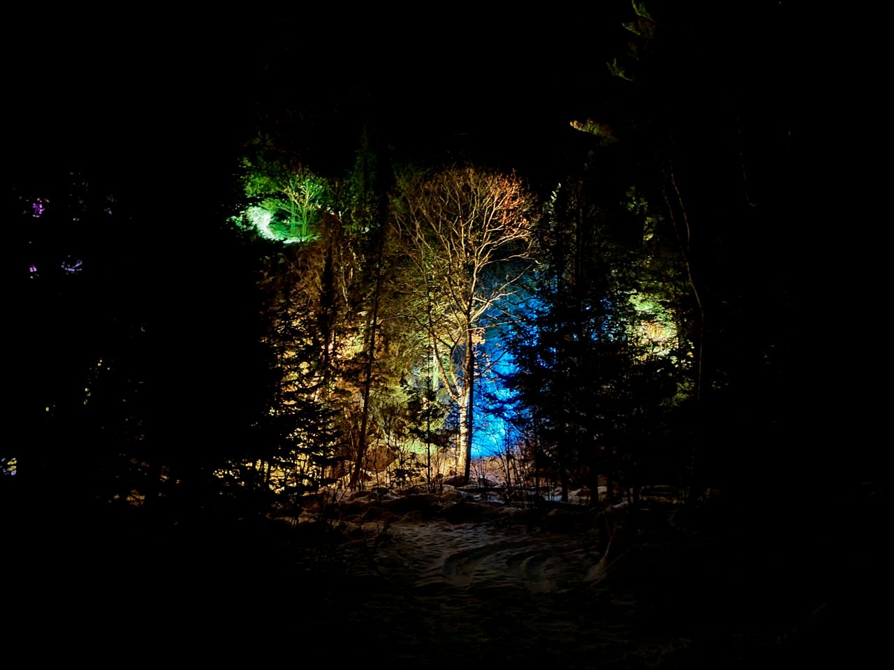 Lumières au Parc Nature Éco-Odyssée