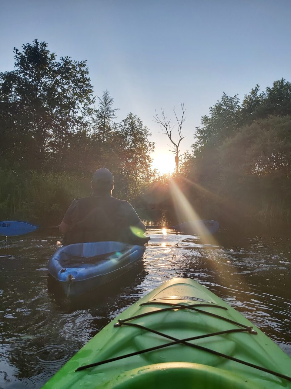 Kayak sur un Labyrinthe aquatique