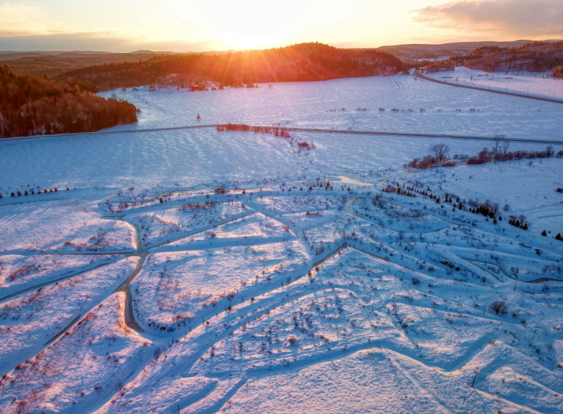 labyrinthe en nature