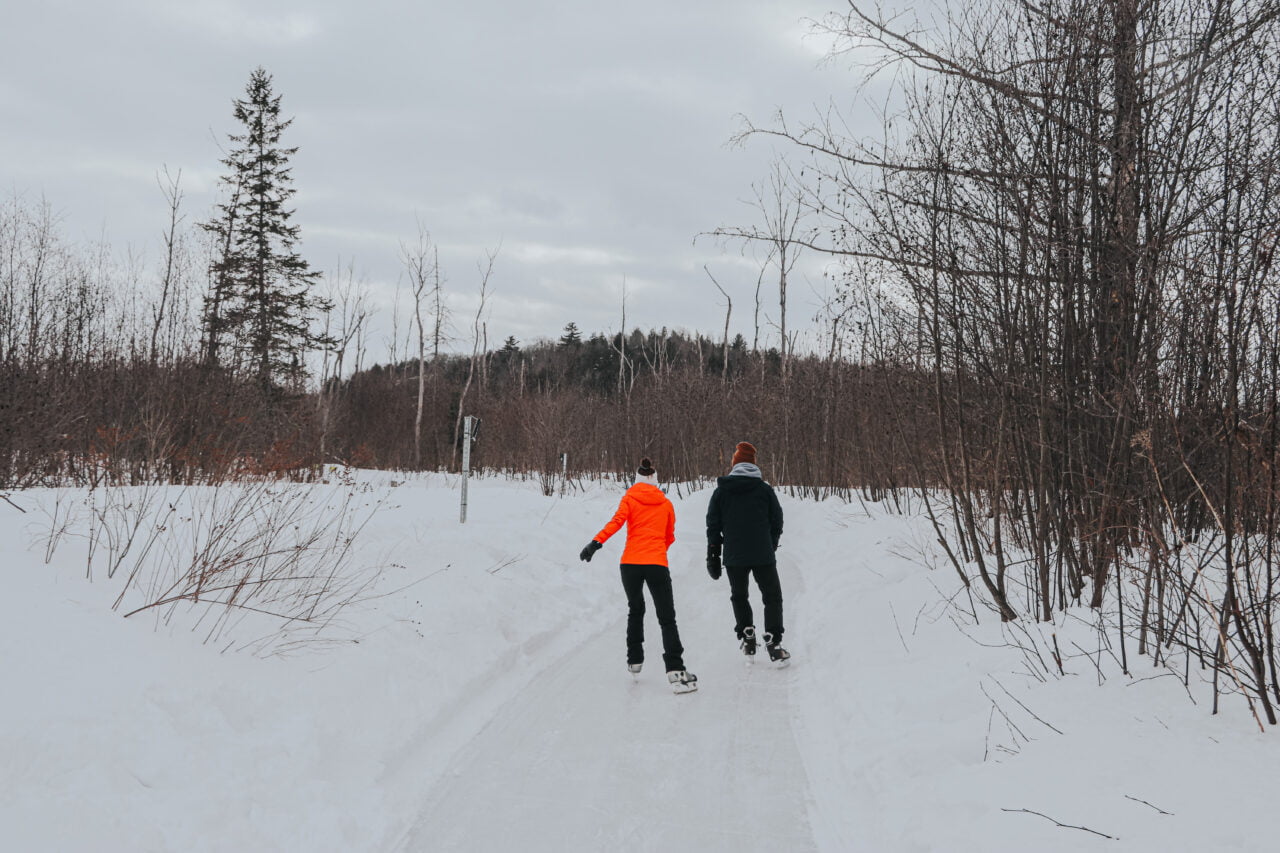 patin en forêt