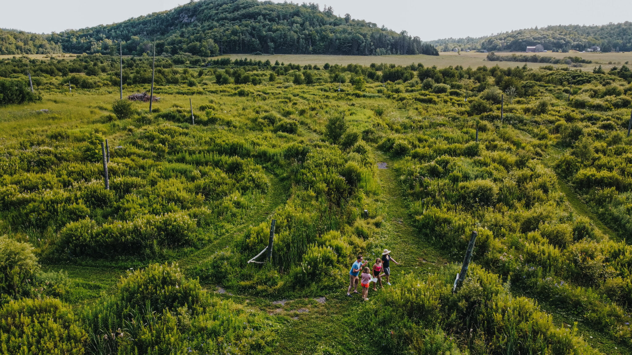 labyrinthe a pied d'eco-odyssée